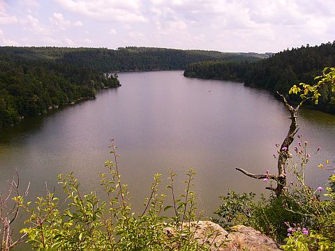 Daleick pehrada